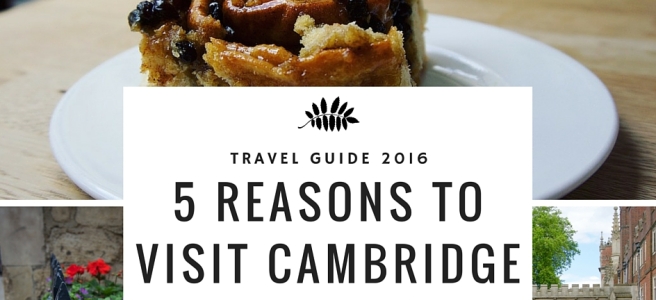5 Reasons to Visit Cambridge
